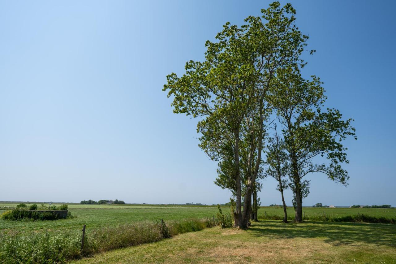 Johanneshoeve - De Mooiste Plek Op Texel Den Hoorn  Bagian luar foto