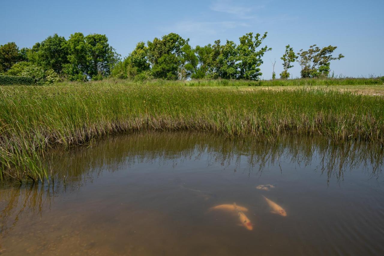 Johanneshoeve - De Mooiste Plek Op Texel Den Hoorn  Bagian luar foto